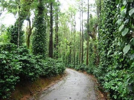 Photo of Coorg- Weekend get away 3/5 by Radhika Narasimhan