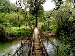 Photo of Coorg- Weekend get away 2/5 by Radhika Narasimhan