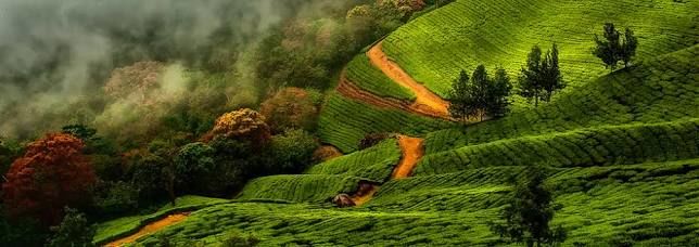 Photo of Cool Hill stations to travel in summer-India 4/12 by Radhika Narasimhan