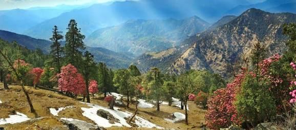 Photo of UTTARKHAND- Popular state to visit in India during summer 1/6 by Radhika Narasimhan