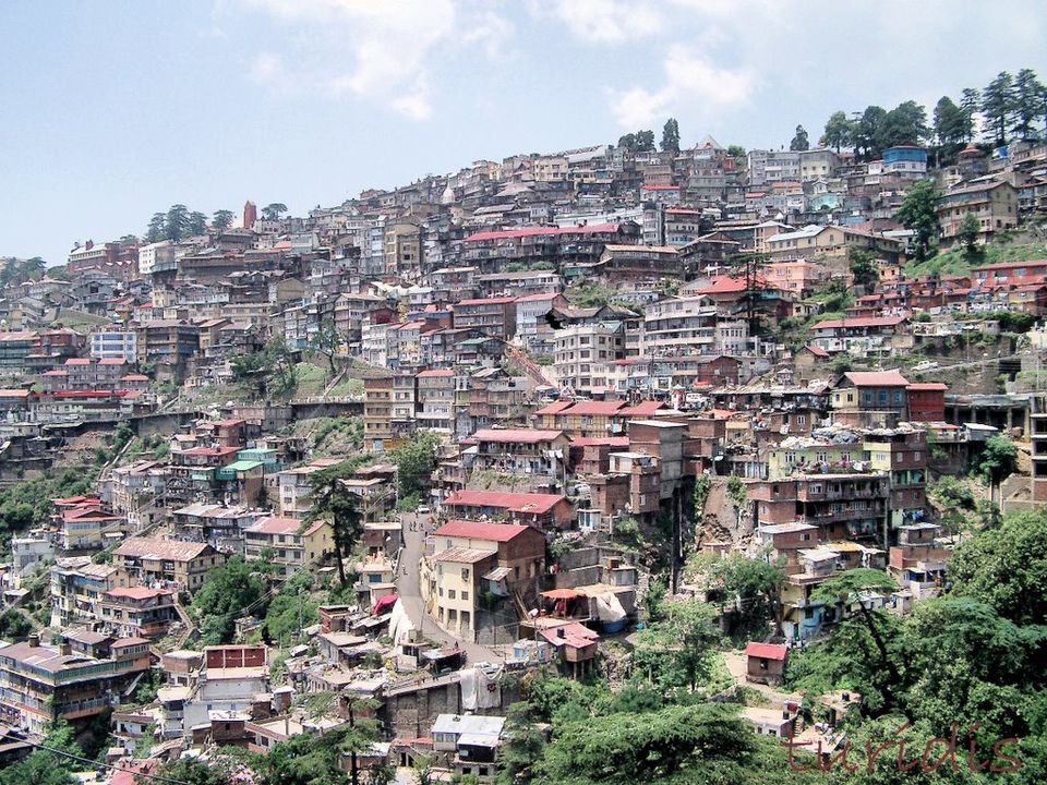 Photo of SHIMLA 2/4 by Radhika Narasimhan