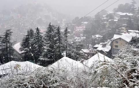 Photo of SHIMLA 3/4 by Radhika Narasimhan
