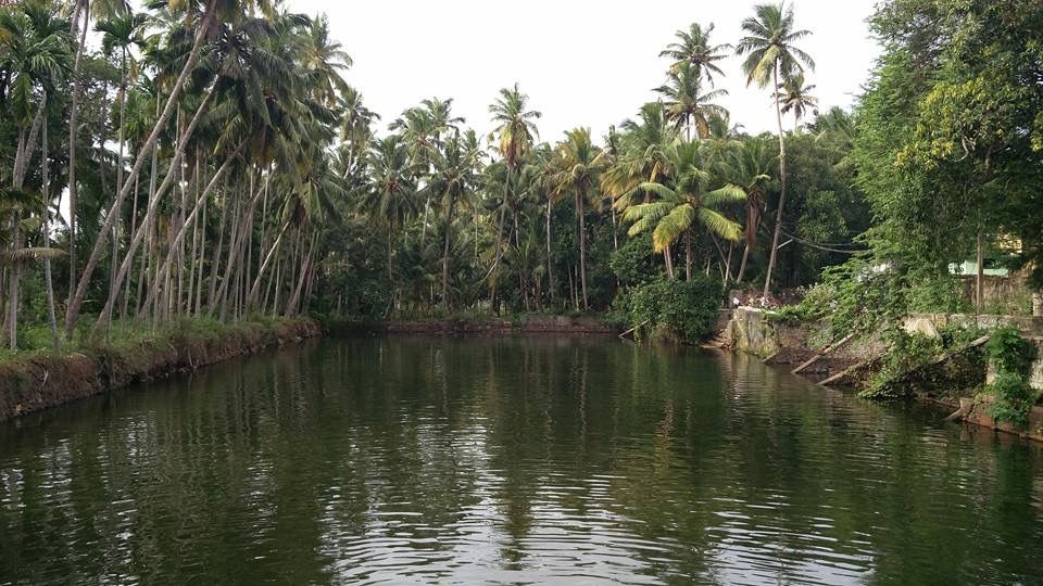 Photo of THINGS TO DO IN KERALA 1/6 by Radhika Narasimhan