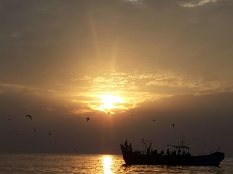 Photo of THINGS TO DO IN KERALA 3/6 by Radhika Narasimhan