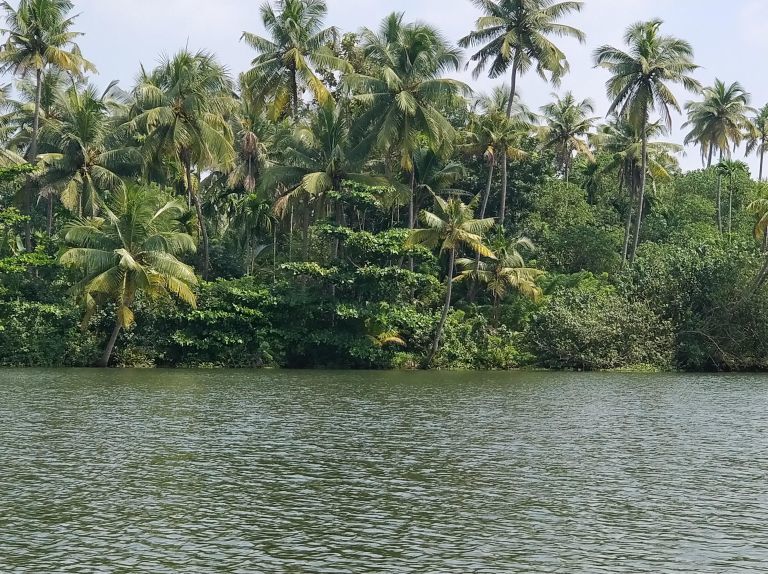 Photo of THINGS TO DO IN KERALA 4/6 by Radhika Narasimhan