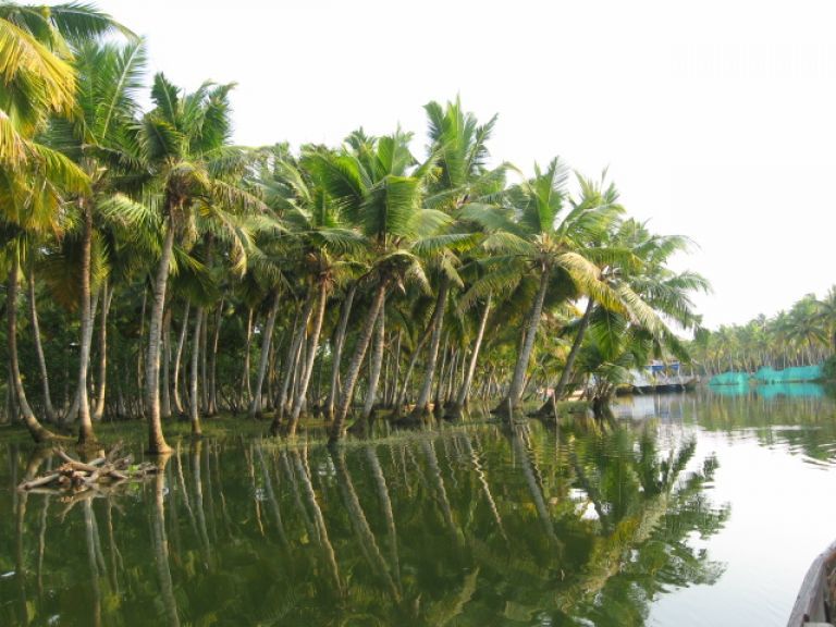 Photo of THINGS TO DO IN KERALA 2/6 by Radhika Narasimhan