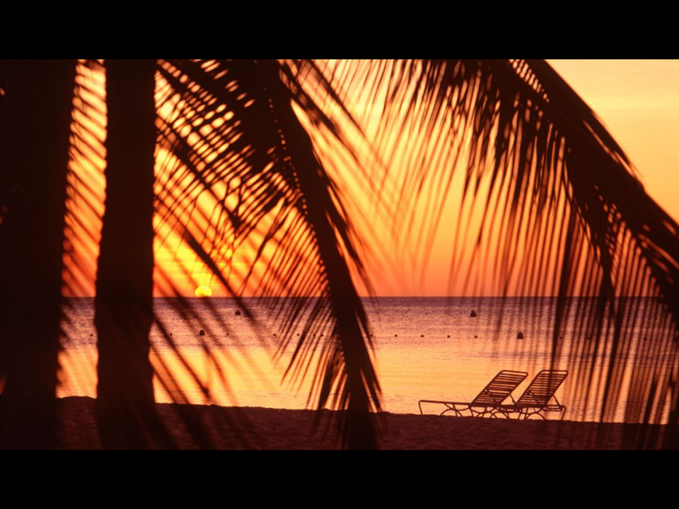 Photo of SECOND HONEYMOON SPOTS 1/4 by Radhika Narasimhan