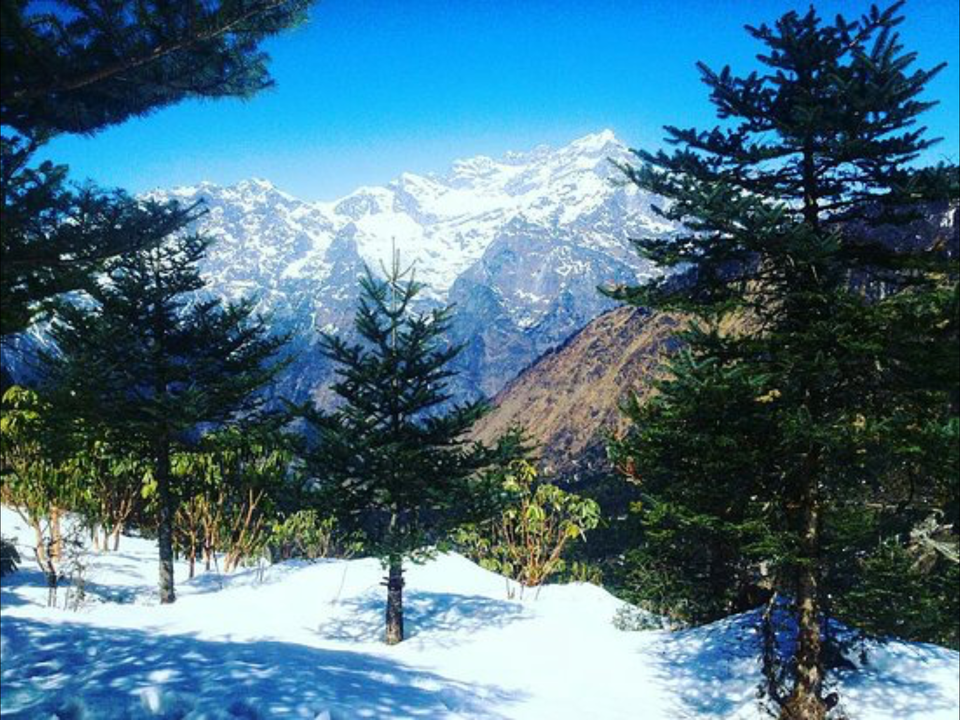 Photo of WINTER DESTINATIONS TO VISIT IN INDIA 7/8 by Radhika Narasimhan