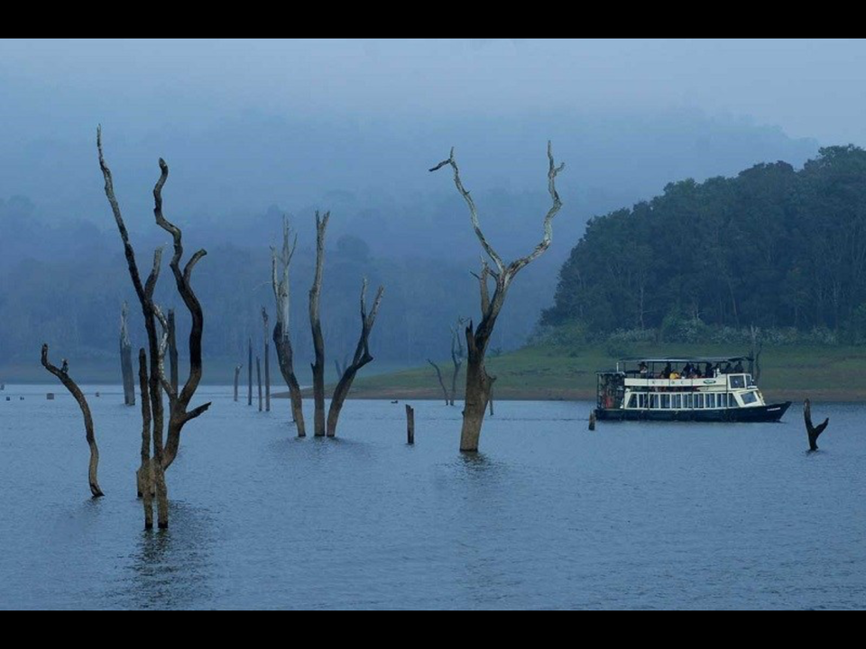 Photo of WINTER SPOTS TO VISIT IN SOUTH INDIA 3/12 by Radhika Narasimhan