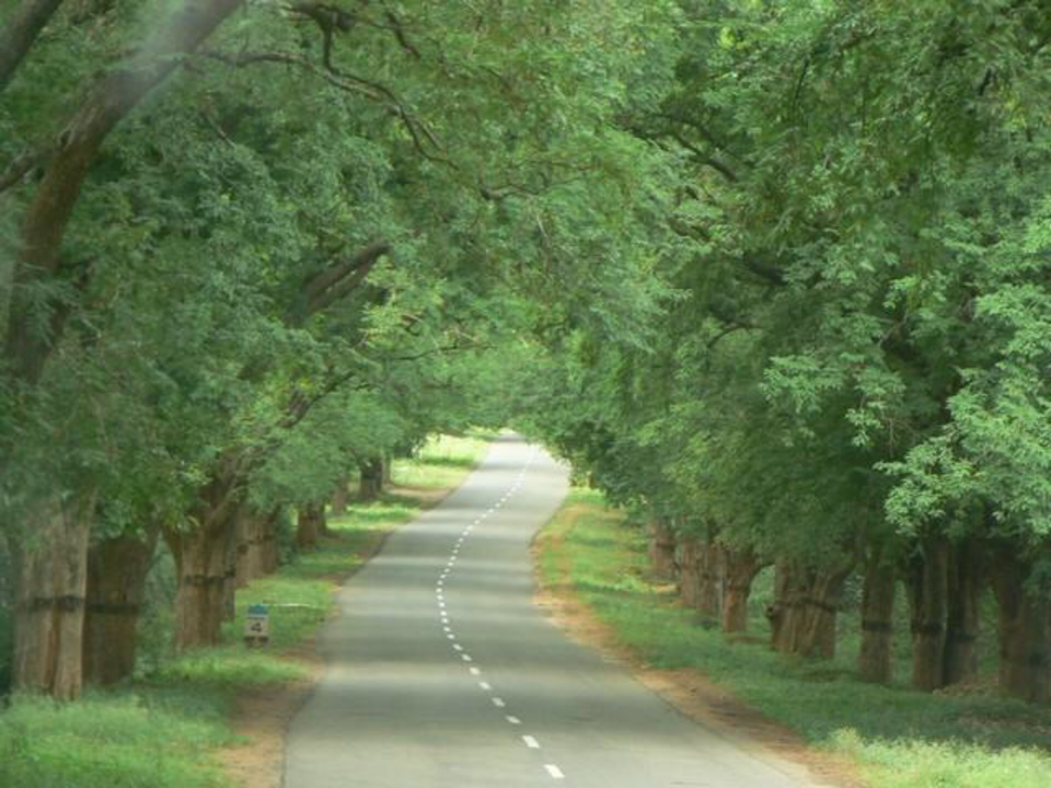 Photo of WINTER SPOTS TO VISIT IN SOUTH INDIA 11/12 by Radhika Narasimhan