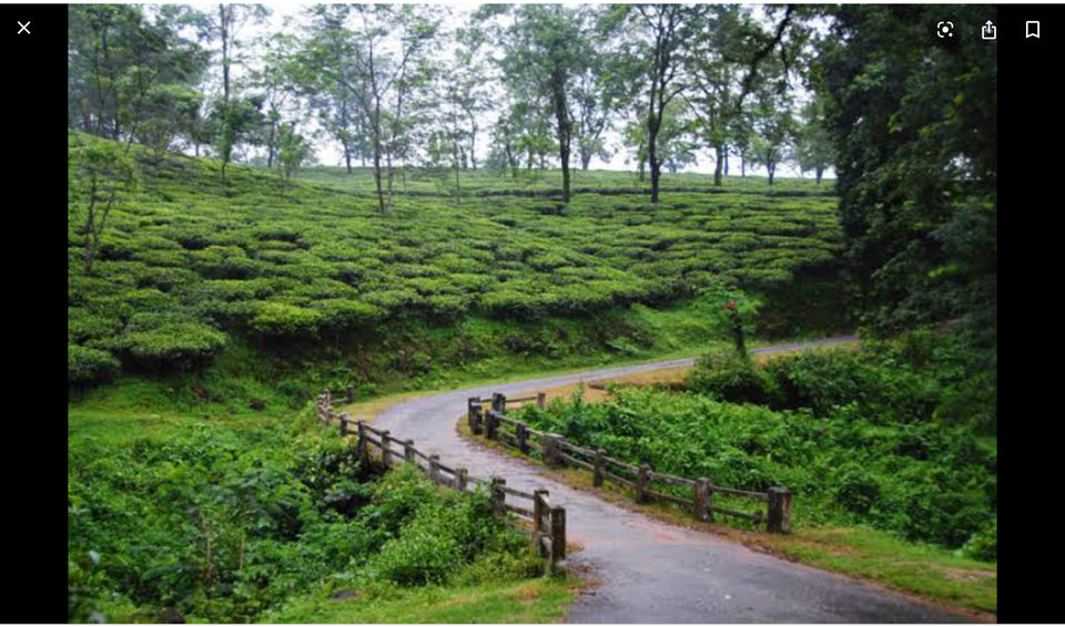 Photo of PLACES TO VISIT DURING SEPTEMBER-OCTOBER IN INDIA 2/10 by Radhika Narasimhan