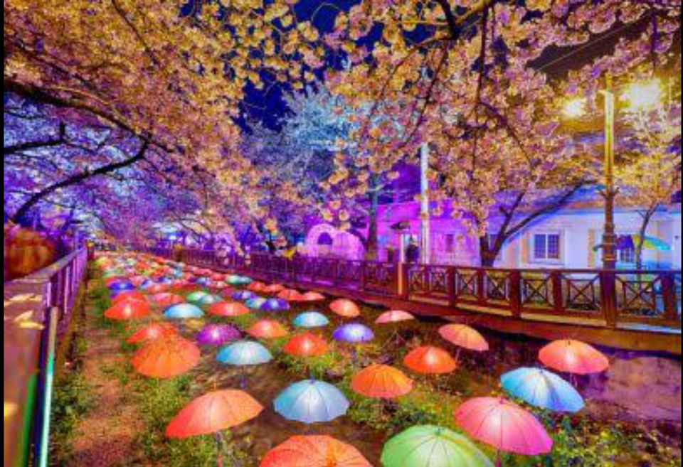 Photo of Some travel movies, with awesome travel destinations 5/11 by Radhika Narasimhan