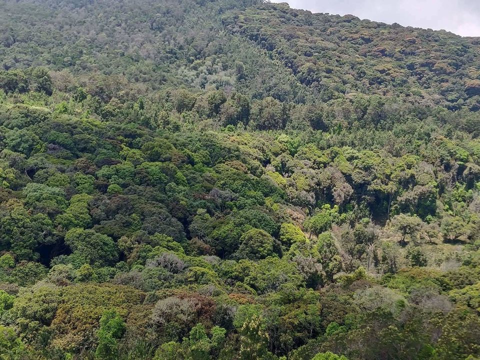 Photo of SHOPPING AND EATING IN KODAIKANAL by Radhika Narasimhan
