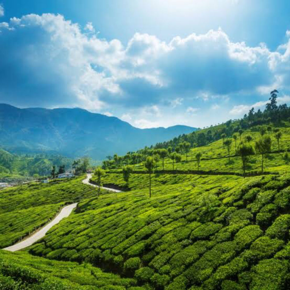 Photo of What are Hill Stations like in India by Radhika Narasimhan