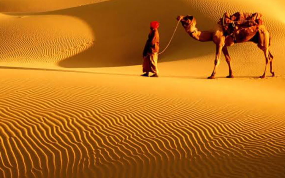 Photo of THINGS TO DO IN RAJASTHAN 2/5 by Radhika Narasimhan