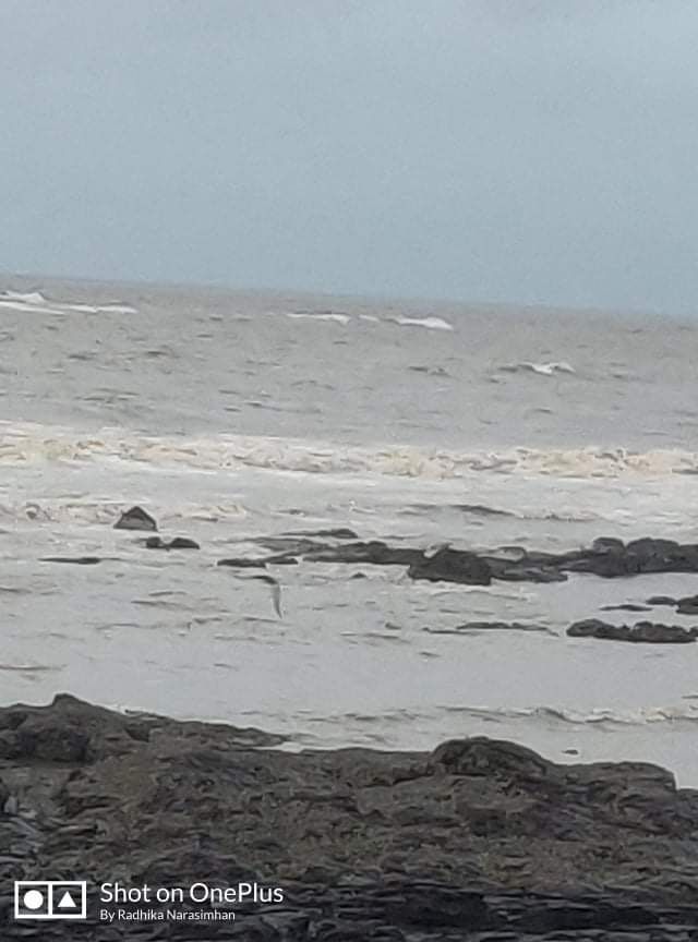 Photo of Drive to Bandra Beach by Radhika Narasimhan
