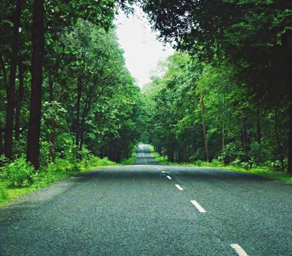 Photo of Why travel to Adilabad on a weekend from Hyderabad 1/4 by Radhika Narasimhan
