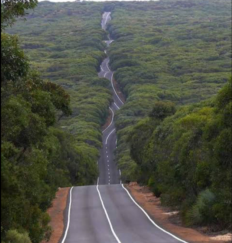 Photo of Why travel to Adilabad on a weekend from Hyderabad 4/4 by Radhika Narasimhan