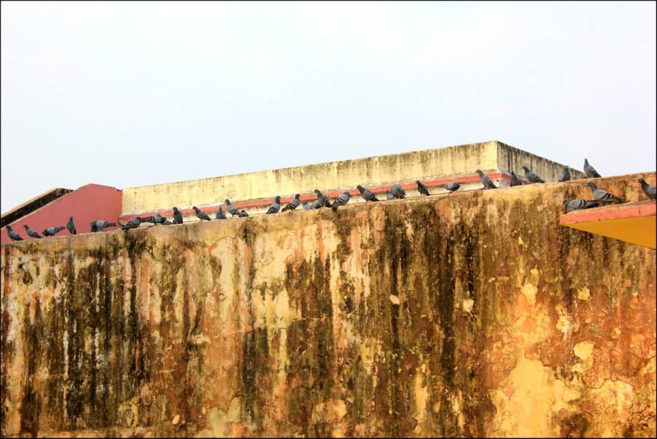 Photo of Jaipur, Rajasthan, India by Rahul Arora