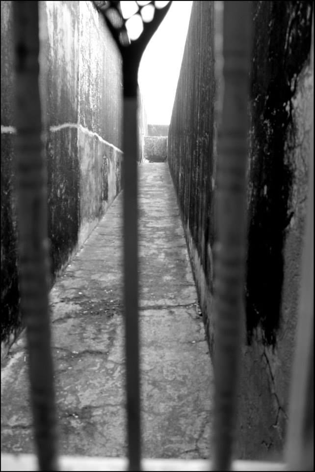 Photo of Jaipur, Rajasthan, India by Rahul Arora