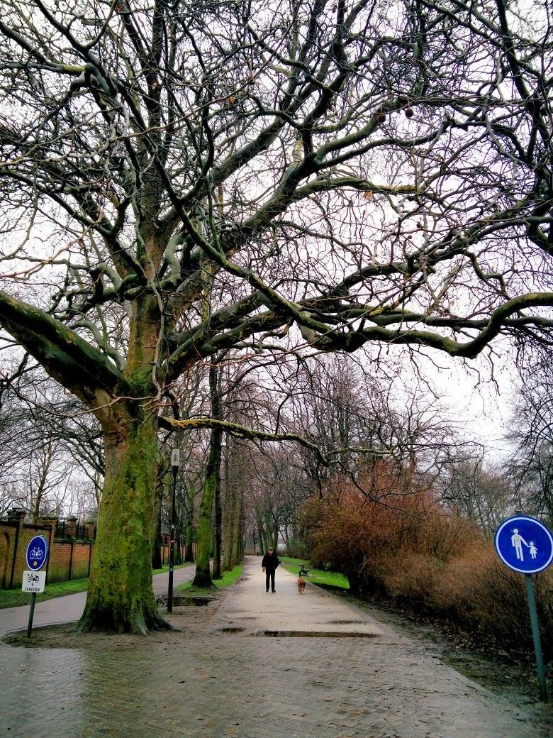 Photo of Stranded in Belgium | The Battleground of Europe 71/111 by Rahul Arora