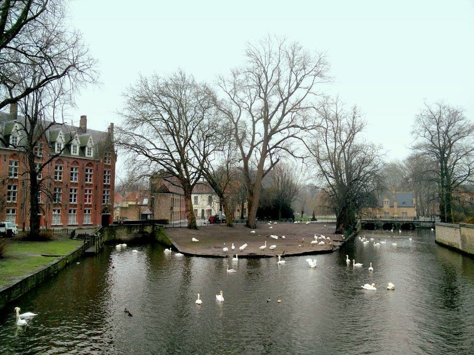 Photo of Stranded in Belgium | The Battleground of Europe 80/111 by Rahul Arora