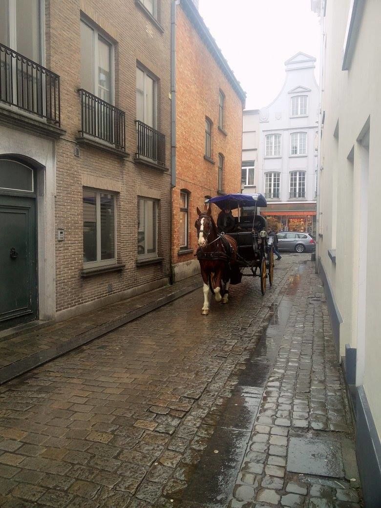 Photo of Stranded in Belgium | The Battleground of Europe 42/111 by Rahul Arora