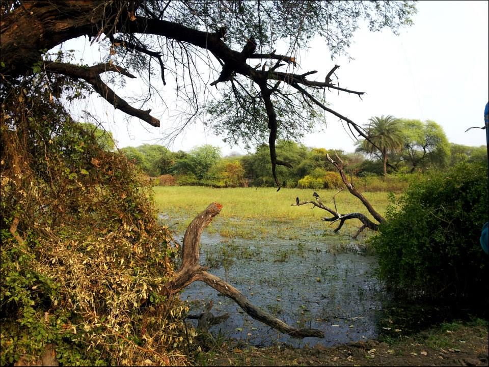 Photo of Golden Triangle India by Rahul Arora