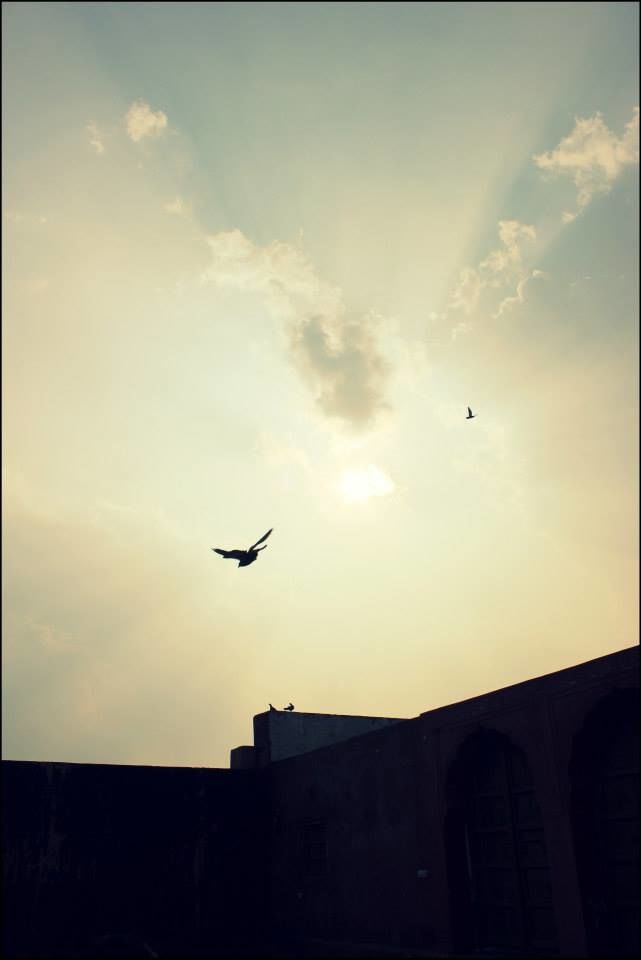 Photo of Golden Triangle India by Rahul Arora