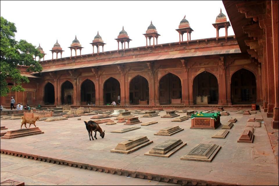 Photo of Golden Triangle India by Rahul Arora