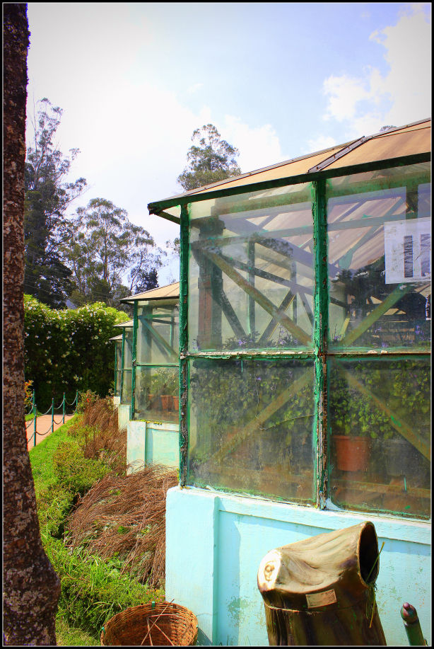 Photo of Ooty; a ride into the heavenly Nilgiris 8/94 by Rahul Arora