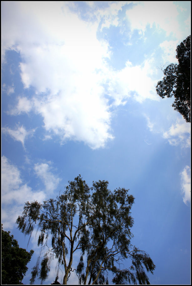 Photo of Ooty; a ride into the heavenly Nilgiris 9/94 by Rahul Arora