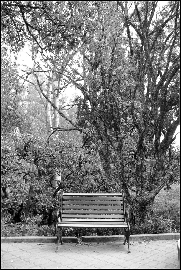 Photo of Ooty; a ride into the heavenly Nilgiris 10/94 by Rahul Arora