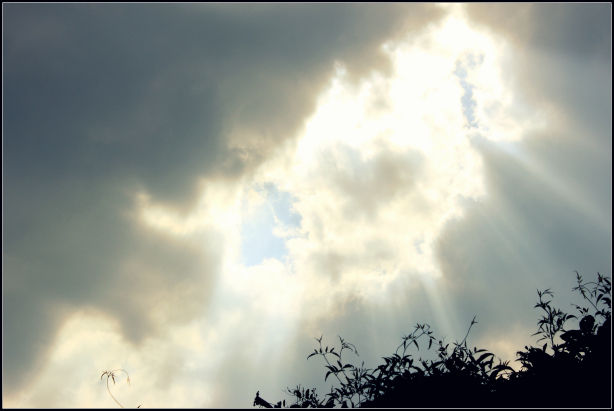 Photo of Ooty; a ride into the heavenly Nilgiris 13/94 by Rahul Arora