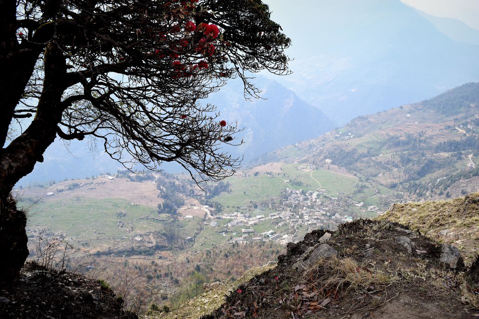 Photo of Deoria Tal - Chandrashila Trek 26/47 by Rahul Arora