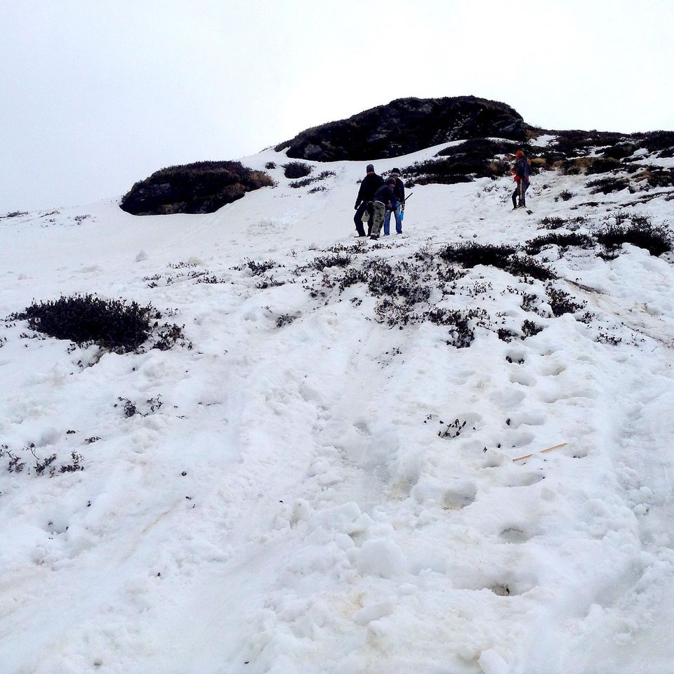 Photo of Deoria Tal - Chandrashila Trek 38/47 by Rahul Arora