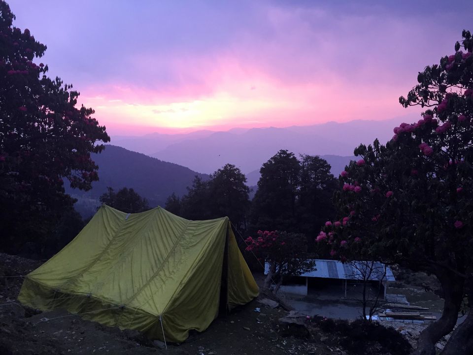 Photo of Deoria Tal - Chandrashila Trek 42/47 by Rahul Arora