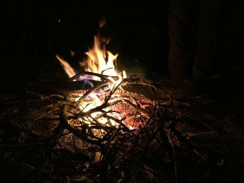 Photo of Deoria Tal - Chandrashila Trek 43/47 by Rahul Arora