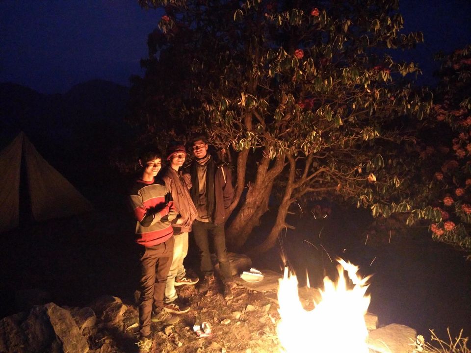 Photo of Deoria Tal - Chandrashila Trek 45/47 by Rahul Arora