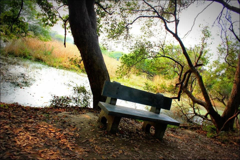 Photo of Golden Triangle India by Rahul Arora