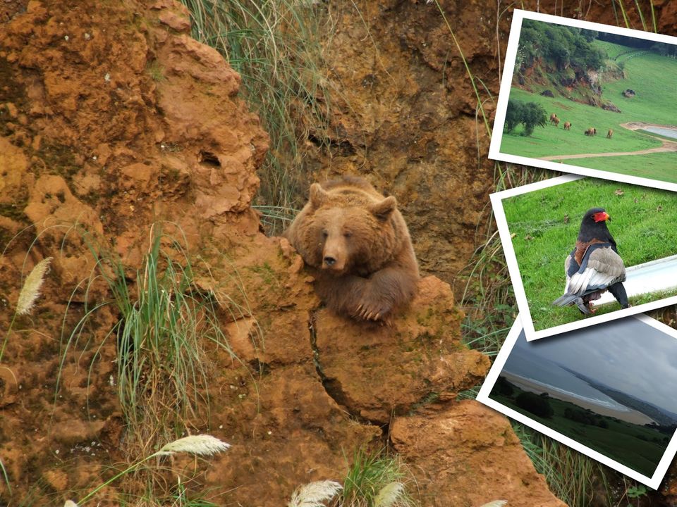 Photo of A Guide to Cantabria, Spain 5/11 by Brendan Harding