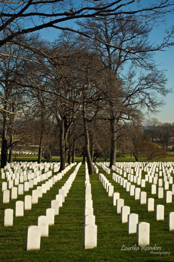 Photo of Arlington National Cemetery, Arlington, VA, United States by Lourika Reinders