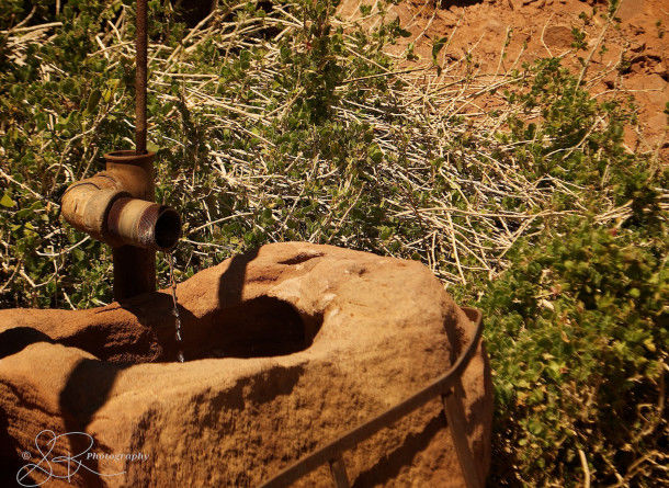 Photo of The Dancing Kudu: Twyfelfontein, Namibia 3/10 by Lourika Reinders
