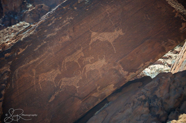 Photo of The Dancing Kudu: Twyfelfontein, Namibia 5/10 by Lourika Reinders