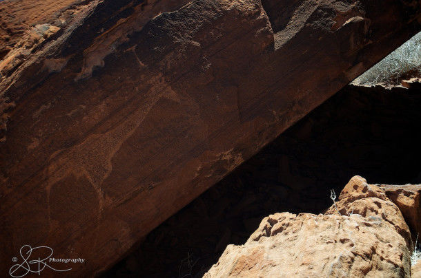 Photo of The Dancing Kudu: Twyfelfontein, Namibia 6/10 by Lourika Reinders