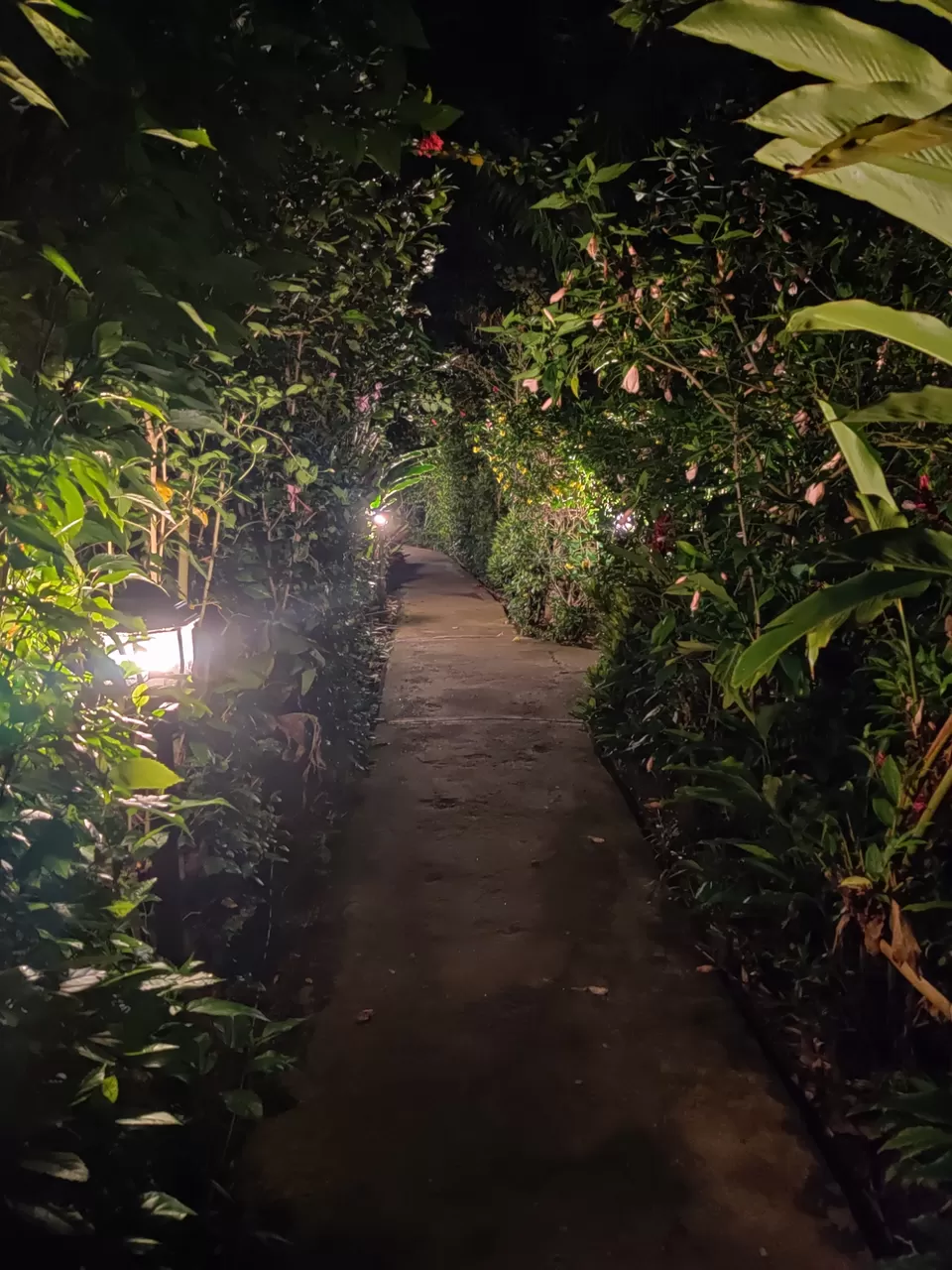 Photo of Bangalore to Kabini (2 nights/3 days) by ankur vinekar