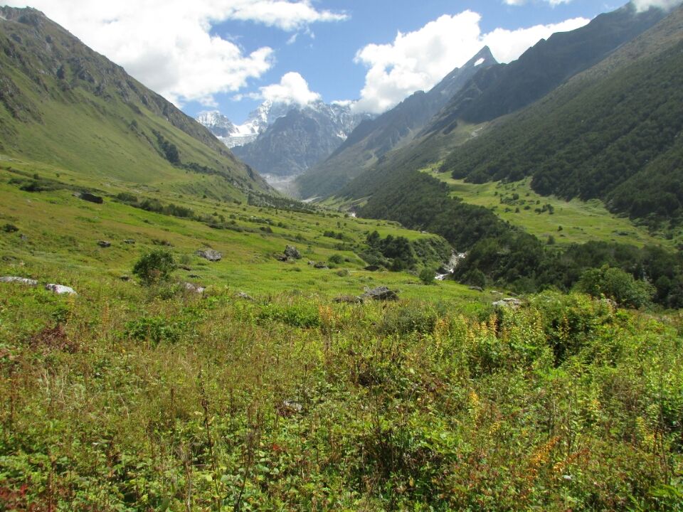 Photo of Uttarakhand 246443, India by Sanjay Badola