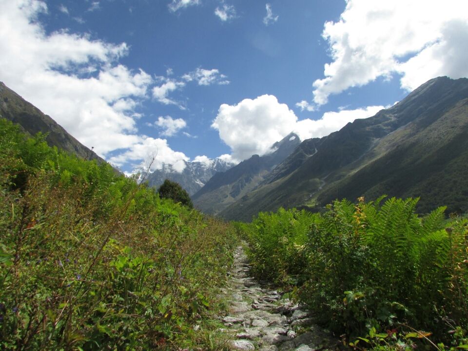 Photo of Uttarakhand 246443, India by Sanjay Badola