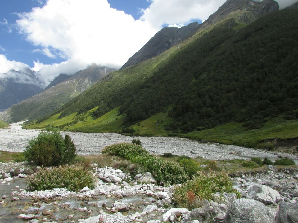 Photo of Uttarakhand 246443, India by Sanjay Badola