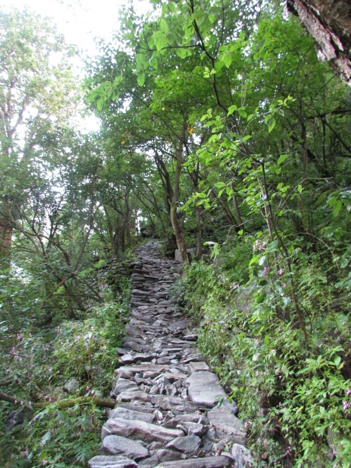 Photo of Uttarakhand 246443, India by Sanjay Badola